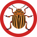 bug.png