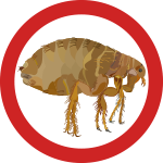 flea.png